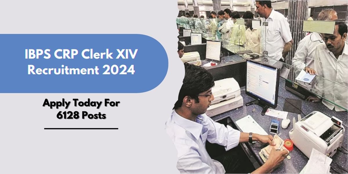 IBPS CRP Clerk XIV Recruitment 2024