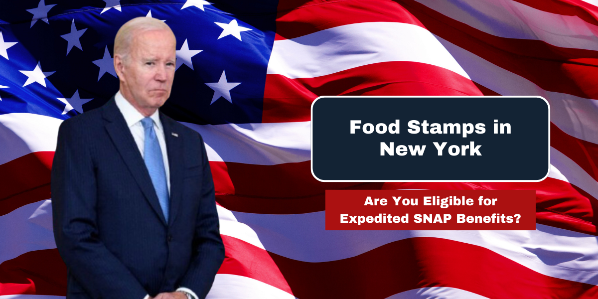 Food Stamps in New York