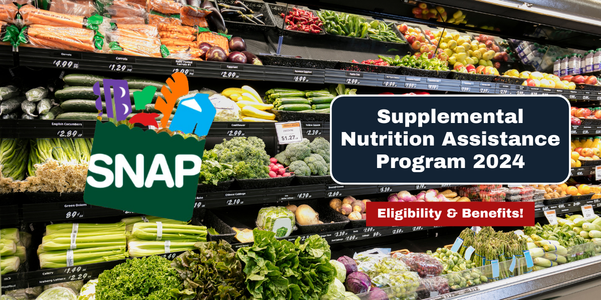 Supplemental Nutrition Assistance Program 2024